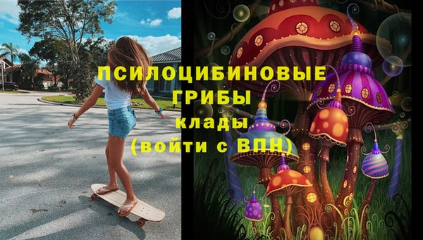 хмурый Алексеевка