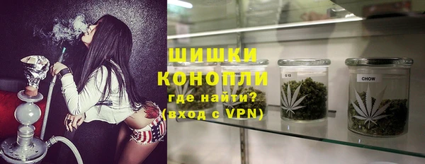 сатива Алзамай