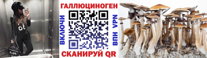 Галлюциногенные грибы Magic Shrooms  цены   Венёв 